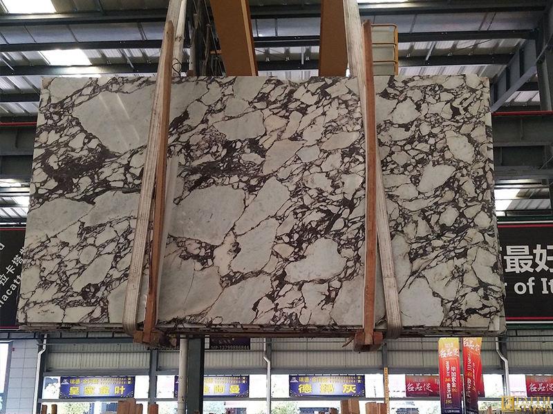 Calacatta Viola Marble