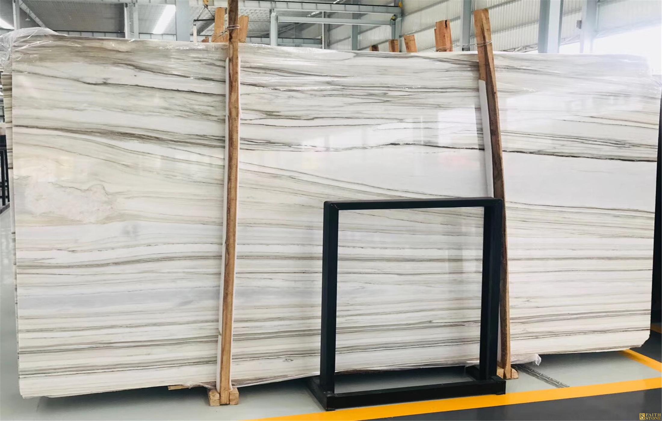 calacatta zebrino slabs