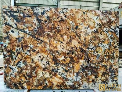 Gold Sunflower Granite