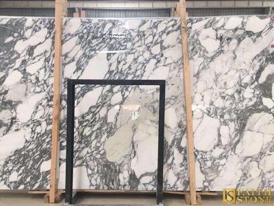 White Arabescato Marble Slab